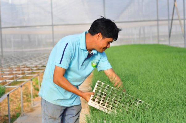 Nông nghiệp hữu cơ - chìa khóa mở cửa thị trường Nhật Bản