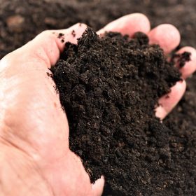 Soil Organic Matter