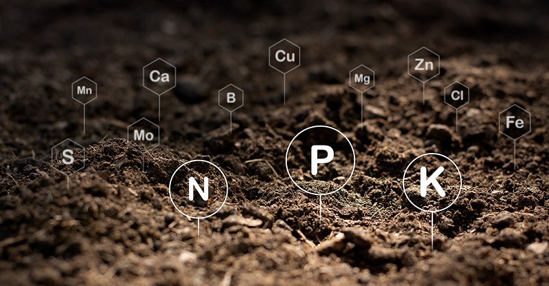 The Fertile Loamy Soil For Planting With The Iconic Technology I