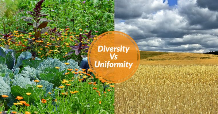 Diversity Vs Uniformity